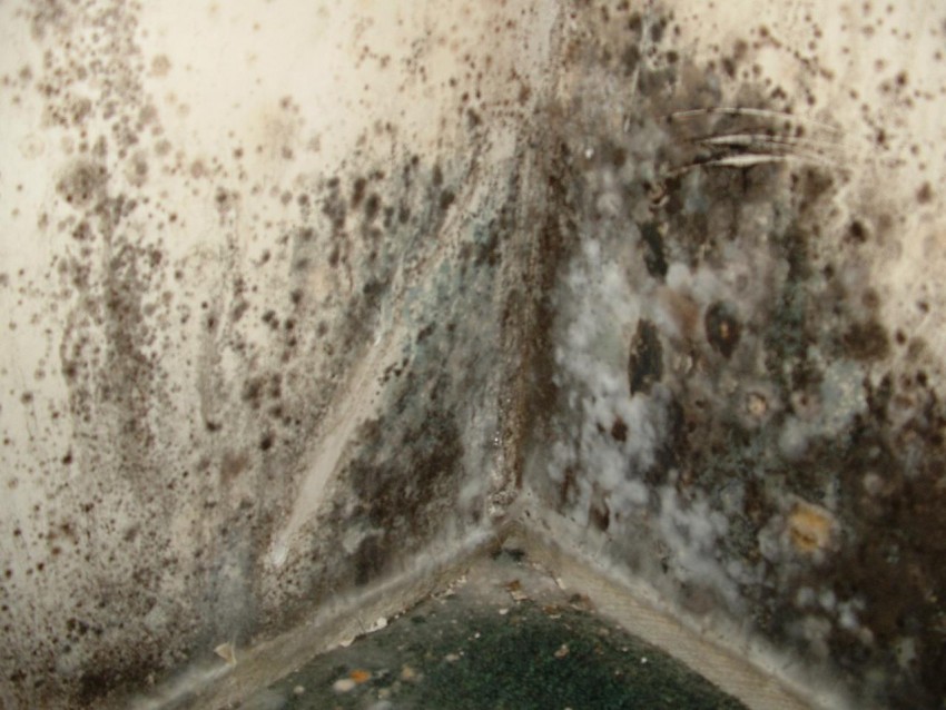 Сырость в ванной комнате - лучшие способы как уменьшить влажность. 70 фото оптимальных решений