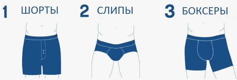 Как выбрать мужское нижнее белье: комфорт и здоровье